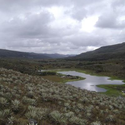 Timeline: rio tunjuelito