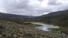 Timeline: rio tunjuelito