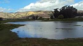 Timeline: RIO TUNJUELO