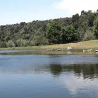 Timeline: RIO TUNJUELO