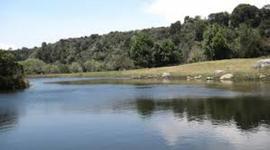 Timeline: RIO TUNJUELO