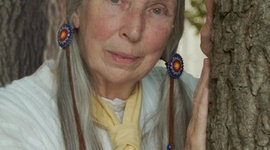 Timeline: Mr. M Sophia Oliva