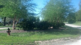 Timeline: C6 Housing Styles Timetoast