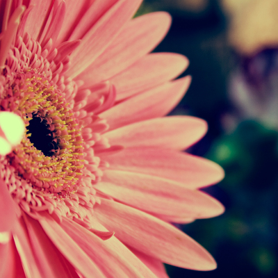 Timeline: My Timeline