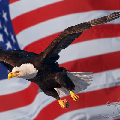 Timeline: All Rights Civil