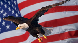 Timeline: All Rights Civil