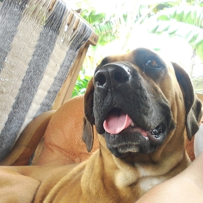 Timeline:   Fase 2 1er parcial filo polt. Fares Díaz- Desarrollo del Pensamiento Humano, Filosófico y Político