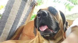 Timeline:   Fase 2 1er parcial filo polt. Fares Díaz- Desarrollo del Pensamiento Humano, Filosófico y Político