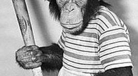 Timeline: America; Baseball, Apple Pie, and Monkey Trials