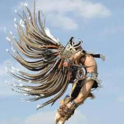 Timeline: conociendo la constitucion