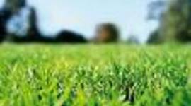 Timeline: Invisible Man: Reaction Journal