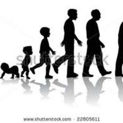 Timeline: The Seven Stages of Man by Teira Evans