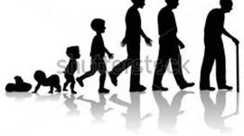 Timeline: The Seven Stages of Man by Teira Evans