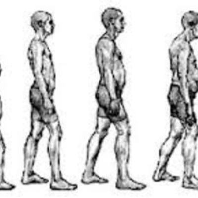 Timeline: Life Span Development