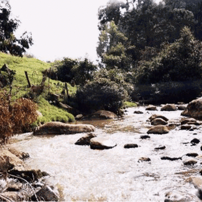 Timeline: Río Tujuelo