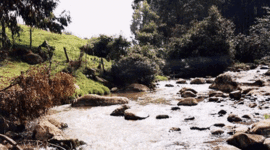 Timeline: Río Tujuelo