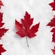 Leaves canada canadian flag symbols 1280x800 41982