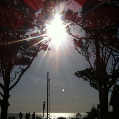 Timeline: STONE-ENVPOLICY