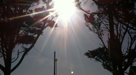 Timeline: STONE-ENVPOLICY