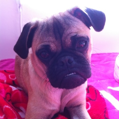 Timeline: Evelyn valenzuela