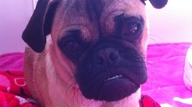 Timeline: Evelyn valenzuela