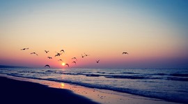 Timeline: My Blessings