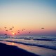 Sunsets nature beach sea birds vintage photography seascapes