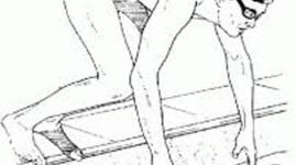 Timeline: Genesis y evolución de la Natación