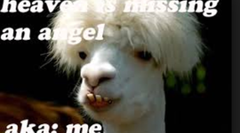 Timeline: Conflicts with Native Americans (Ben Reutener Andrew Wagner