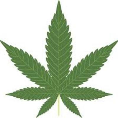 Timeline: Legalization of Marijuana in America