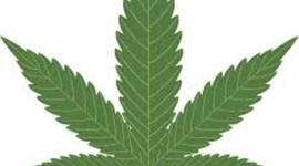 Timeline: Legalization of Marijuana in America