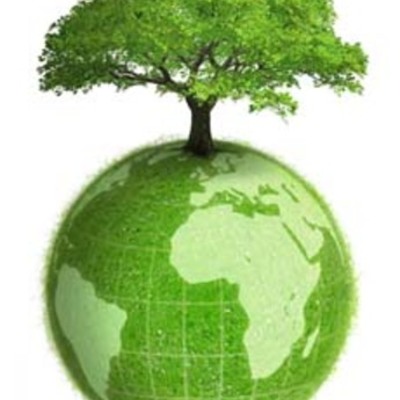 Timeline: Singhal - ENVPOLICY