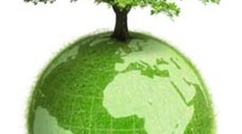 Timeline: Singhal - ENVPOLICY