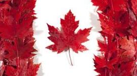 Timeline: Contact! First settlers and First nation aboriginals