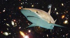 Timeline: Space !!!!