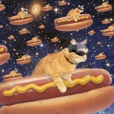 Timeline: Cosmic Times