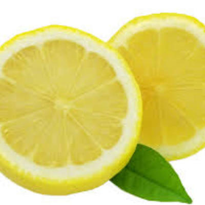 Timeline: Timeline of the Segway