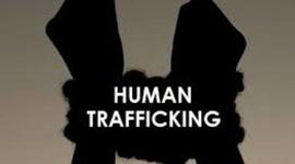 Timeline: Human Trafficking