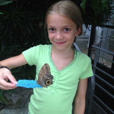 Timeline: Ava Luisa Byrum