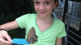 Timeline: Ava Luisa Byrum