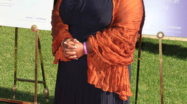 Timeline: Dates clau en l'evolució dels MMCC