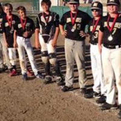 Timeline: Life Asighnment