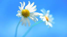 Timeline: MI HISTORIA PERSONAL :)