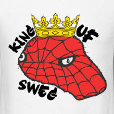 Timeline: jedrek's sweg