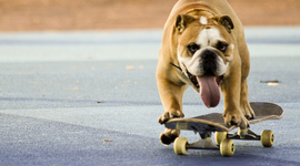 Timeline: history of space exploration