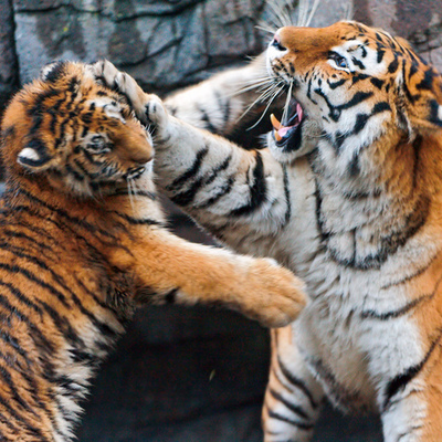 Timeline: history of space exploration