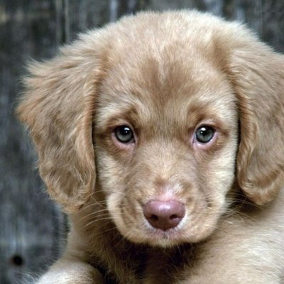 Timeline: History of Space Exploration