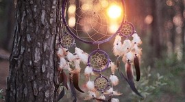 Timeline: Sarahs timeline