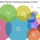 Top programming languages 2013