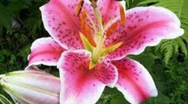 Timeline: Technology Timeline